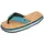 F2 Blau 43