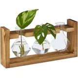 Relaxdays Reagenzglas Vase, geometrische Glasvasen Ständer, Blumen & Pflanzen, HxBxT: 13x28x6,5 cm, transparent/natur