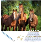 LA CUTE Malen nach Zahlen XL Pferde Malset – Kreatives Malen nach Zahlen mit Rahmen 40x50cm (Komplettes Malset: Kreatives Malen nach Zahlen mit Rahmen und Farben, Malen nach Zahlen Set: Leinwand 40x50cm, Acrylfarben, Pinsel, Rahmen), Pferde Malset: Hochwertige Leinwand 40x50cm mit Acrylfarben & Rahmen