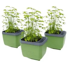 Gusta Garden Herbs Buddy 15,3 x 14,8 x 14 cm Dunkelgrün Komplettset