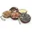 Lyra Pet Lyra Pet Halbe Kokosnuss gefüllt mit Topping