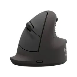 Fellowes Breyta Plus+ Schwarz