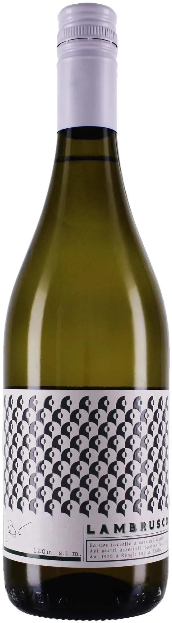 Cantina Puianello   Cantina Puianello Lambrusco Bianco Amabile Lambrusco Italien