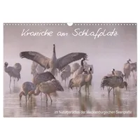 Calvendo Kraniche am Schlafplatz - im Naturparadies der Mecklenburgischen