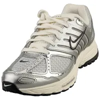 Nike Air Pegasus 2005 Sneaker, Photon Dust Chrome Gridiron