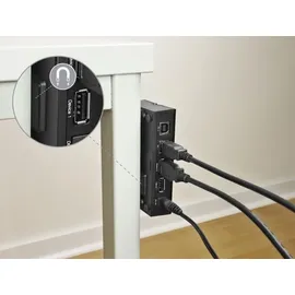 DeLock 11495 USB-Hub Schwarz