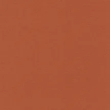 Rasch Textil Kalahari Vliestapete 10,05 m x 0,53 m 449051 Rot