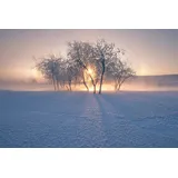 Papermoon Fototapete »Photo-Art BINGO Z, SCHNEELANDSCHAFT IM Winter bunt