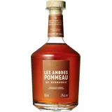 Distillerie des Ambres Les Ambres Pommeau de Normandie 17% vol. in Geschenkpackung - Likör aus der Normandie Frankreich (1 x 0.7 l)