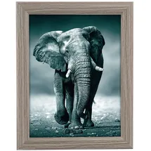 Goldbuch Toscana Holz grau 15x20 cm 1 St.