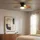 GLOBO Delores 51 cm Deckenventilator Braun