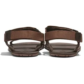 Xero Shoes D-trail Herren Cocoa Brown/Java Brown 41