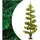 vidaXL Spiral-Weihnachtsbaum mit Beleuchtung Grün 120 cm