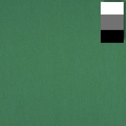 Walimex pro Stoffhintergrund (285 cm, 600 cm), Hintergrundsystem, Grün
