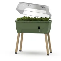 Gusta Garden Hochbeet Sammy Salad 79 x 37,5 x 95 cm dunkelgrün
