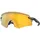 OAKLEY Encoder Matt Carbon/Prizm Bronze