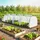Outsunny Gewächshaus Stahl Weiß Folie 0 mm 3,95 m2