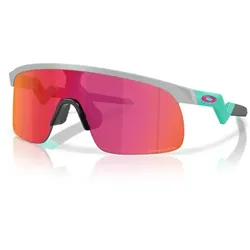 Oakley Resistor Matte Fog/Prizm Field Bunt Modell 2025