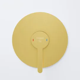 Steinberg Serie 341 Einhandmischer für 1 Verbraucher Brushed Gold 34122503BG