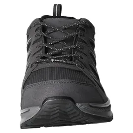 Lowa Innox EVO II GTX GRAU/GRAU 44