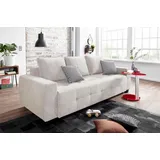 Collection AB Schlafsofa, mit Bettfunktion und Bettkasten, inkl. loser Rücken- und Zierkissen silberfarben
