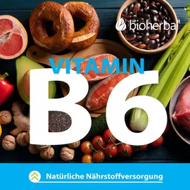 Bioherba Chlorella Kapseln 100 St.