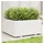 vidaXL Pflanzkübel 100 x 100 x 49,5 cm Weiß