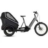 Cube Trike Family 750 Grau Modell 2025