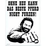 Blechwaren Fabrik Braunschweig Bud Spencer Blechschild Pferd Faust 30 x 40 cm