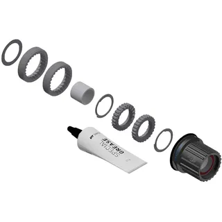 dtswiss DT Swiss Service-/Upgrade-Kit Ratchet LN