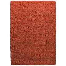 Ayyildiz Life Shaggy 1500 Hochflorteppich 120 x 170 cm terra
