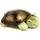 Cloud b Twilight Turtle 30 cm Grün