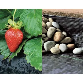 Siena Garden Mulchfolie 1,2 x 10 m