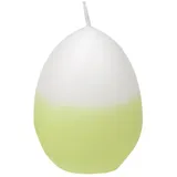 Wiedemann Eierkerze 80/60 mm Limette