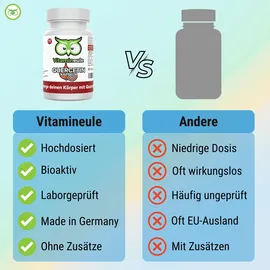 Vitamineule Quercetin Kapseln 60 St.