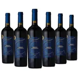 Primitivo Susumaniello Salento IGT - 6er Karton