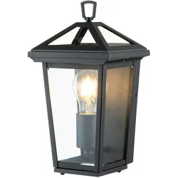 Licht-Erlebnisse Wandaußenleuchte ABINGDON Schwarz Transparent Aluminium Glas LE117588