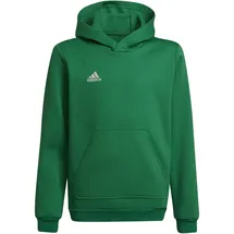 adidas Entrada 22 Team Green 116