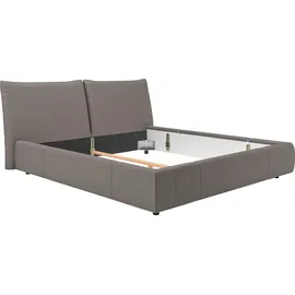 PLACES OF STYLE Polsterbett PLACES OF STYLE "Priora in 4 Breiten bis 200cm", grau (elephant), B:192cm H:100cm L:250cm, Rinds-Oberleder, Betten, Polsterbett, auch in NaturLEDER, Cord, belastbar bis 280kg, auch Überlänge 220 cm