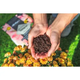 LECHUZA Terrapon 12 l