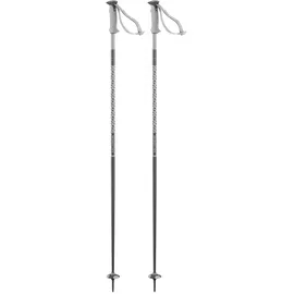 Salomon Polar Stöcke - Grey Violet - 110 cm