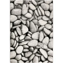 WECON HOME Teppich »Stony Island«, rechteckig, 52190265-3 grau Schwarz, Silberfarben - 120x170 cm