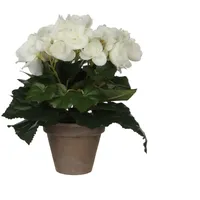 Mica decorations Mica Begonia im Topf weiß, 25 x