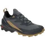 Salomon Cross Over 2 Gore-Tex Herren, grau / 12.5