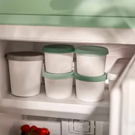 Springlane 4er-Set Eisbehälter für Speiseeis 400 ml, Aufbewahrungsbehälter, Gefrierdosen, Eis-Container BPA-frei in Lebensmittelqualität