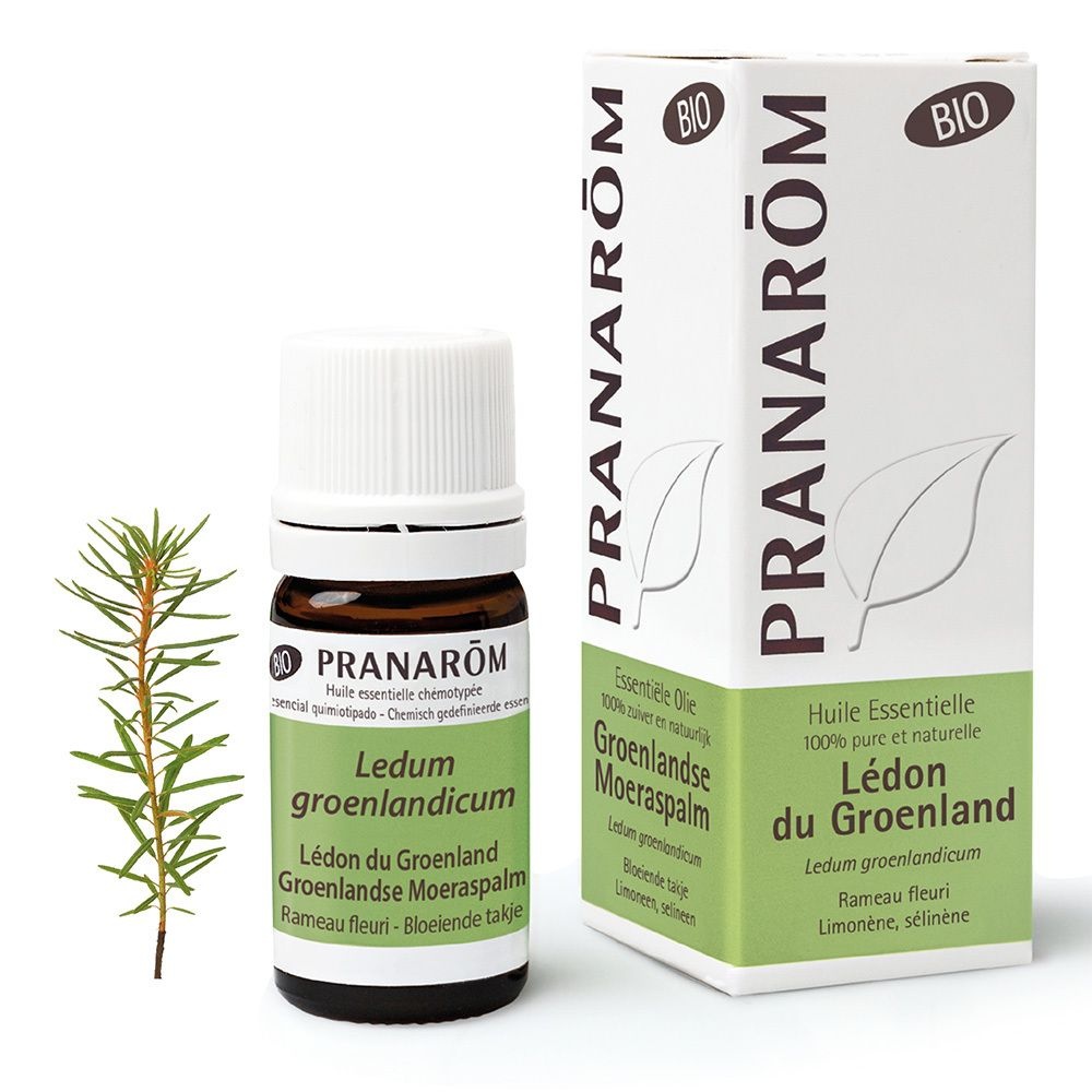 Pranarom Ledon du Groenland