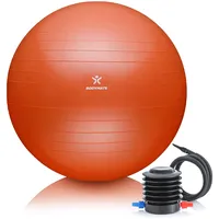 BODYMATE Gymnastikball Sitzball Trainingsball mit GRATIS E-Book inkl. Luft-Pumpe,