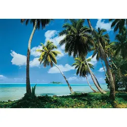 Fototapete PAPERMOON "Tahiti", bunt (mehrfarbig), B:5m L:2,8m, Vlies, Tapeten