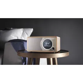 Sharp DR-450 braun