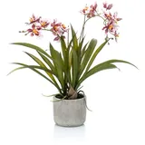 artplants.de Kunstorchidee Oncidium COLUNGA im Keramiktopf, rosa-violett, 45cm - Orchideen künstlich im Topf/Orchidee Seidenblumen